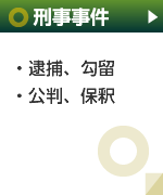 逮捕、拘留・公判、保釈